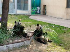 -西安秦岭野生动物园