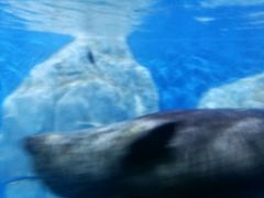 -多彩贵州城极地海洋世界