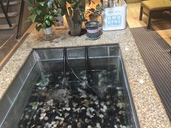 -新澳港式茶餐厅(余姚路店)
