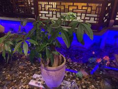 -江南古镇(斗西路万致创意园店)