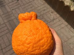 -乐天免税店(明洞店)