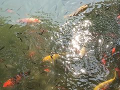 -白马涧龙池景区
