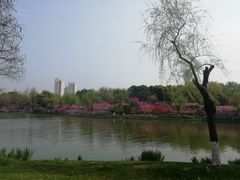 -圩墩遗址公园