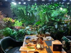 -森味薪火烧•烧鸟居酒屋•日本料理(望京店)