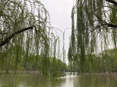 -廊坊市自然公园