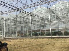 -甜心庄园·甜心草莓采摘园(西青中北店)