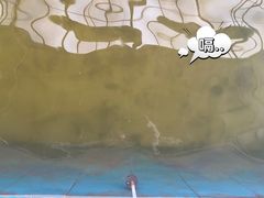 -粮心小农·大头虾亲子生态园(长发店)