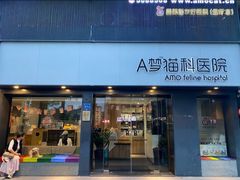 -御宝贝·A梦猫科宠物医院(国际猫友好医院)