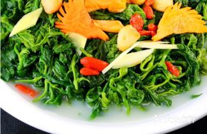 High Soup Mulberry Leaves