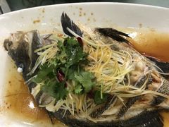 -常家活海鲜小吃(仅一家无分店)
