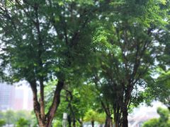 -煲煲掂风味煲仔饭餐厅(西区店)