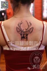 点击看大图 -越域刺青