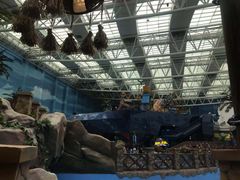 -青岛东方影都融创水世界