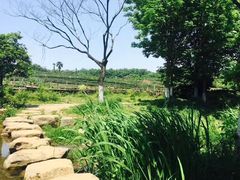 -旅马餐厅(茅家埠店)