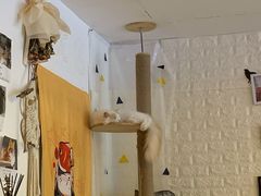 -平行世界·猫咖(首经贸店)