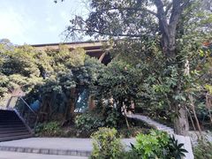 -杭州开元森泊度假乐园