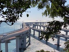 -星海湾跨海大桥