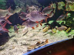 -太平洋海底世界