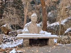 -紫金山山顶公园