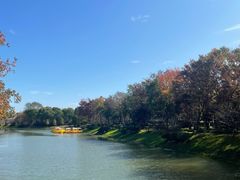 -上海海湾国家森林公园