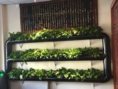 -孙三拨按摩拨筋(五一路店)