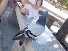 -龙口南山旅游景区