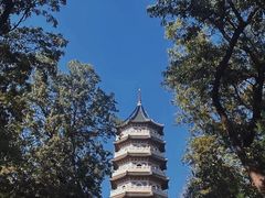 -灵谷景区