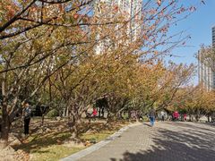 -苏州河梦清园环保主题公园