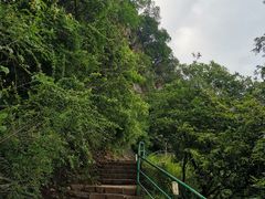 -抚仙湖禄充风景区