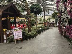 -南宫五洲植物乐园