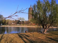 -西海子公园