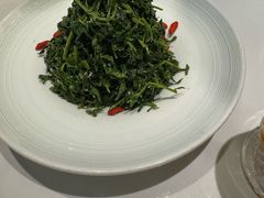 红果枸杞苗-清真·宁夏印象·盐池滩羊肉体验店(江宁路店)