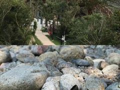 -亚龙湾国际玫瑰谷