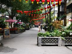 -泡桐树街