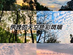 -缙云山景区
