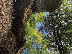 -青城山