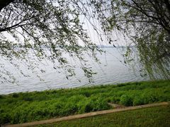 -滨江生态公园