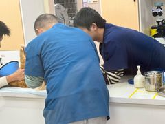 -康成宠物医院24H·CT·核磁共振