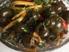 -金龙寨(解西店)