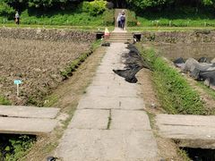 -八卦田遗址公园