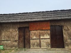 -泗洪洪泽湖湿地景区