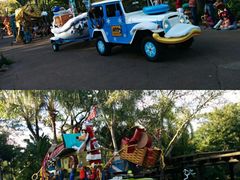 -奥兰多迪士尼动物王国乐园
