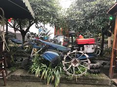 -青城甲(青城山店)