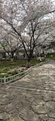 -玄武湖景区-情侣园游乐场