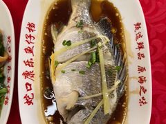 -蛇口康乐快餐鱼仔档(翠苑小区店)