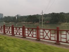 -广西壮族自治区药用植物园