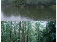 -国家植物园