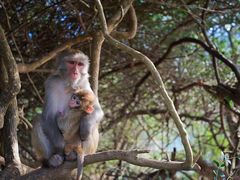 -广州市流溪河国家森林公园