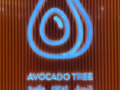 -油梨树 AVOCADO TREE(亮马桥店)