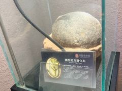 -中华赏石园